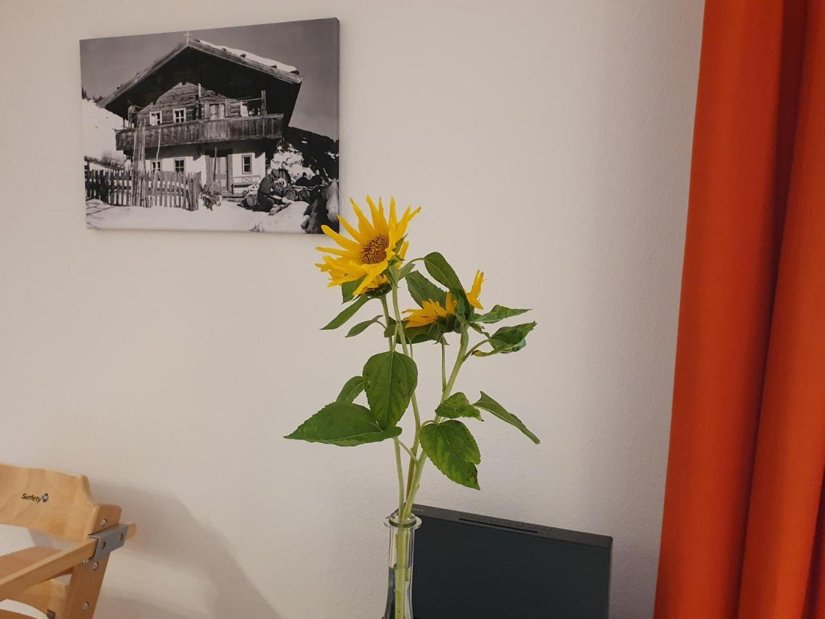 Apartment "Kuenstlhaeusl" 约赫贝格 外观 照片